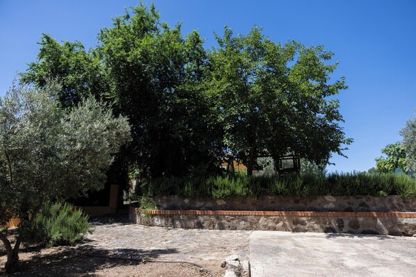 A courtyard with a stone wall, trees, and a clear blue sky.