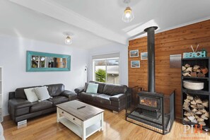 TV, fireplace, books