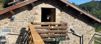 Small haven of peace facing the lake and adjoining forest