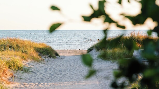 Een pad dat naar een strand leidt, met gras aan beide zijden.