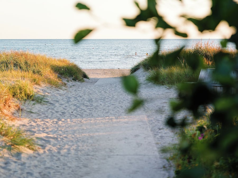 بالقرب من الشاطئ