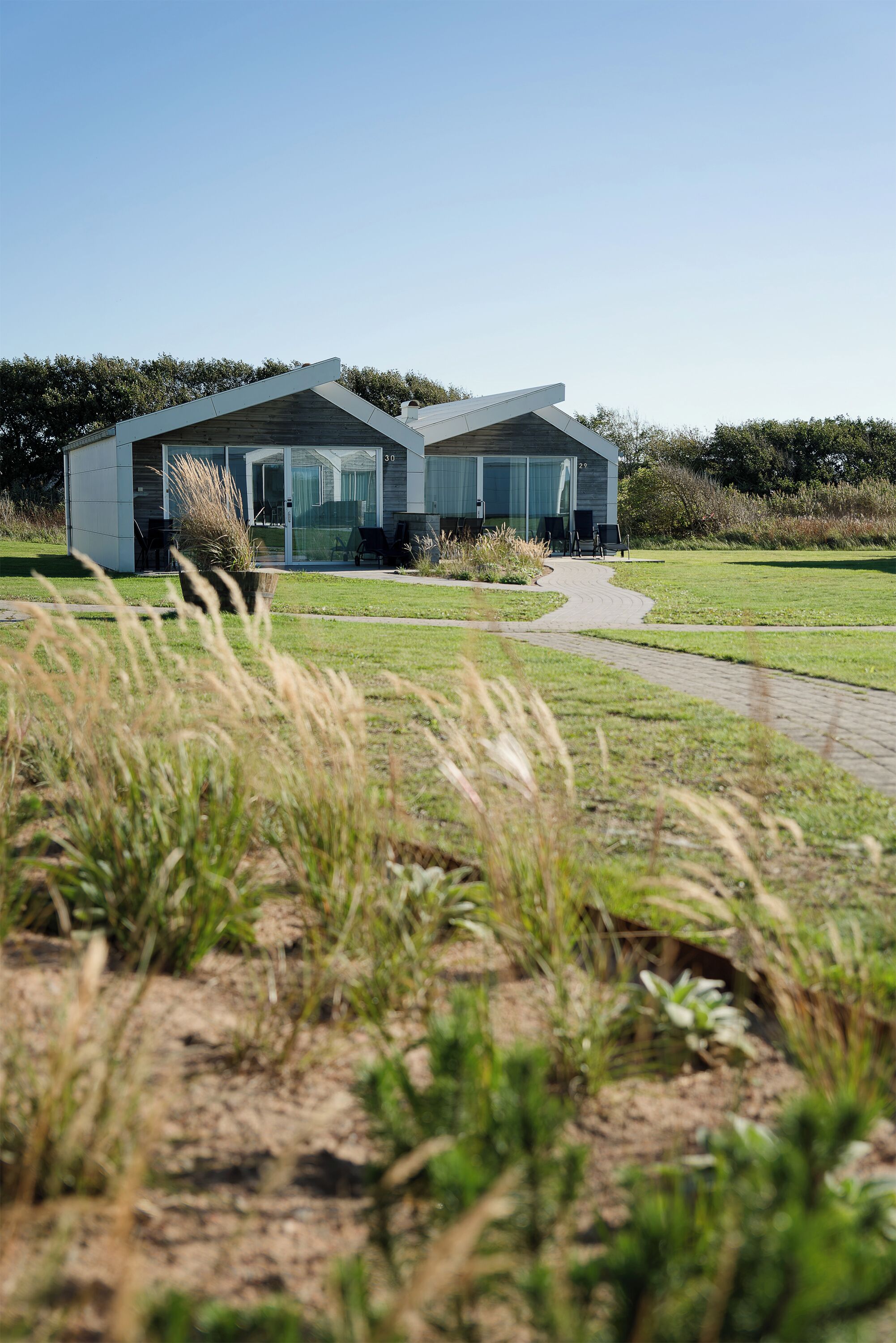 A modern building with a glass facade, a paved pathway leading to it, and a grassy area in the foreground.