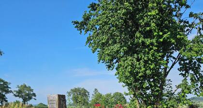 Urlaub im Allgäu - FERIENHAUS STEINBÜHL mit schöner Aussicht nahe CENT. PARKS