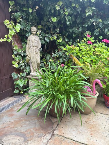 Beautiful traditional heavily beamed cottage in the heart of a quaint village