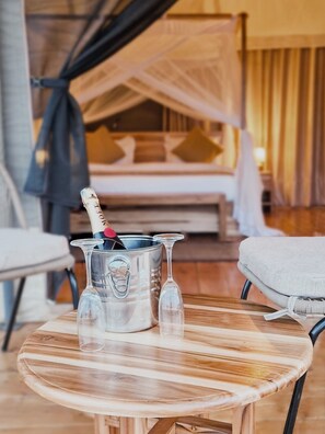 Habitación básica, vistas al parque | Caja fuerte, escritorio, espacio para trabajar con un portátil