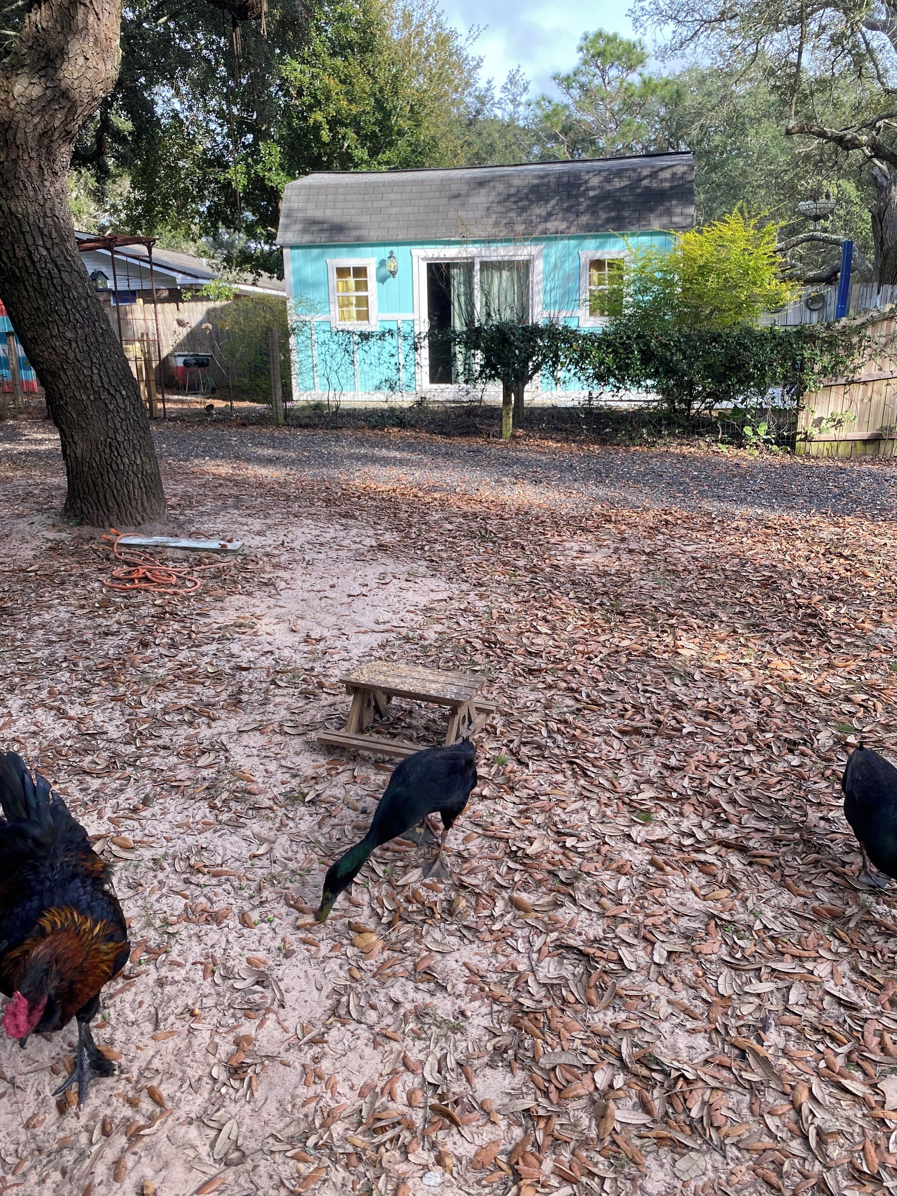 Áreas de la propiedad