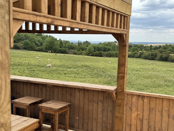 Property grounds - Land Ahoy! A historic boat, anchored in acres of greenery. 1 of a kind adventure (Keyworth)