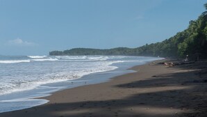 Ein Strand mit Wellen, sandigem Ufer und bewaldeter Landschaft im Hintergrund.