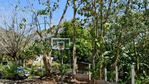 An outdoor basketball court with a hoop, surrounded by trees and a concrete pathway. - Cozy modern house with pool and basketball court! (San Fernando de Samara)