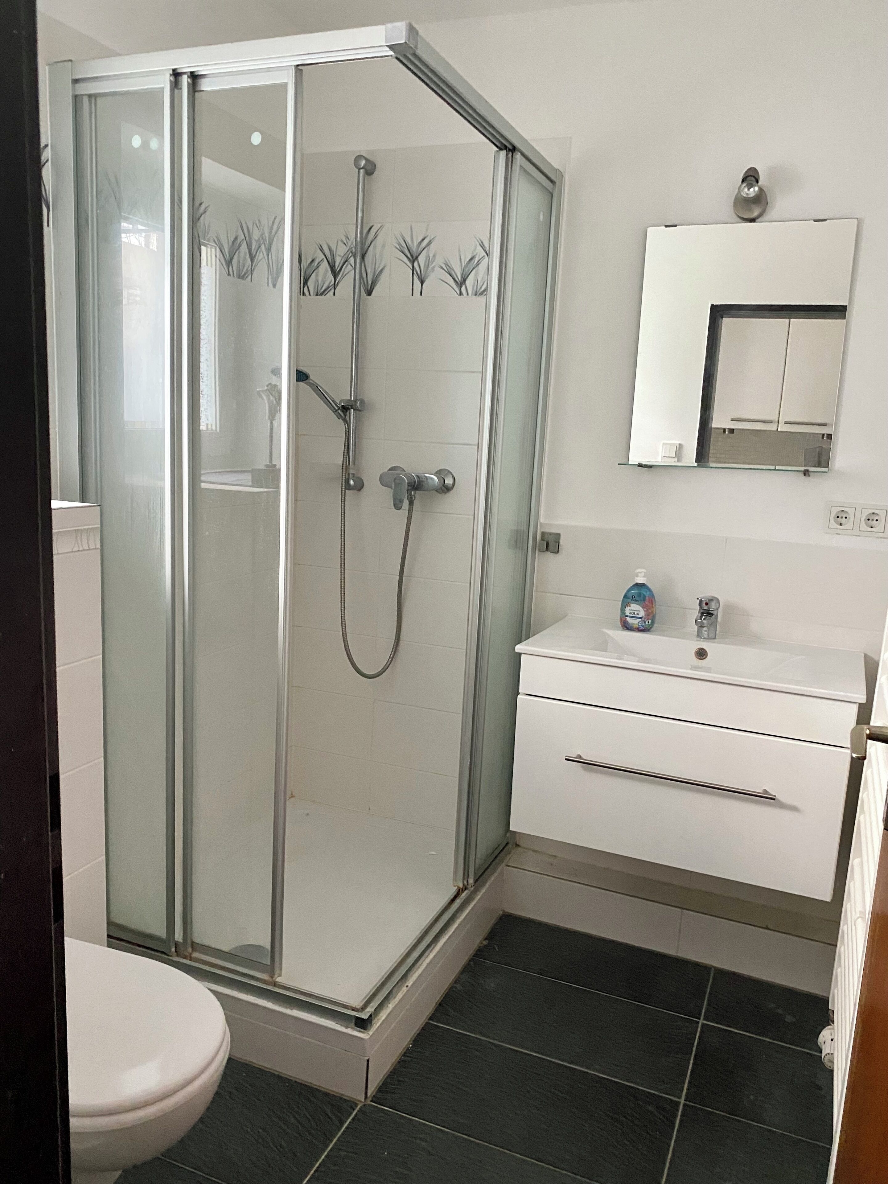 Dusche, Haartrockner, Handtücher, Seife