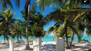 A pathway leading to a beach with palm trees and a white fence.