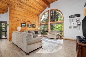 TV, fireplace, books