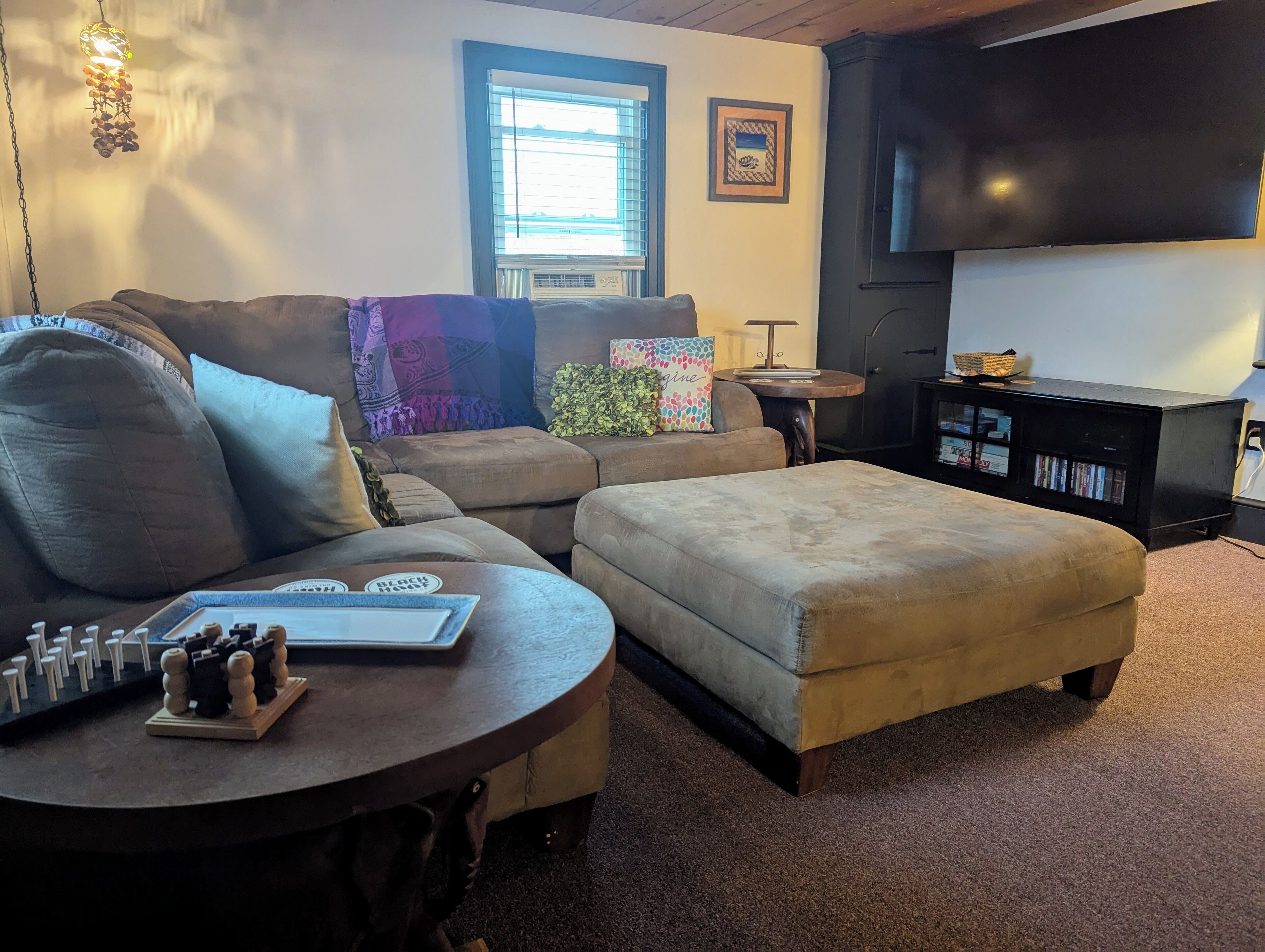 TV, DVD player, books, video library