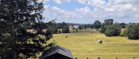 Ländliche Landschaft mit einem eingezäunten Feld, einem kleinen Gebäude und einem großen Baum.