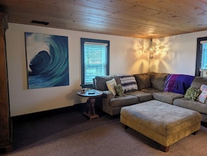 TV, DVD player, books, video library