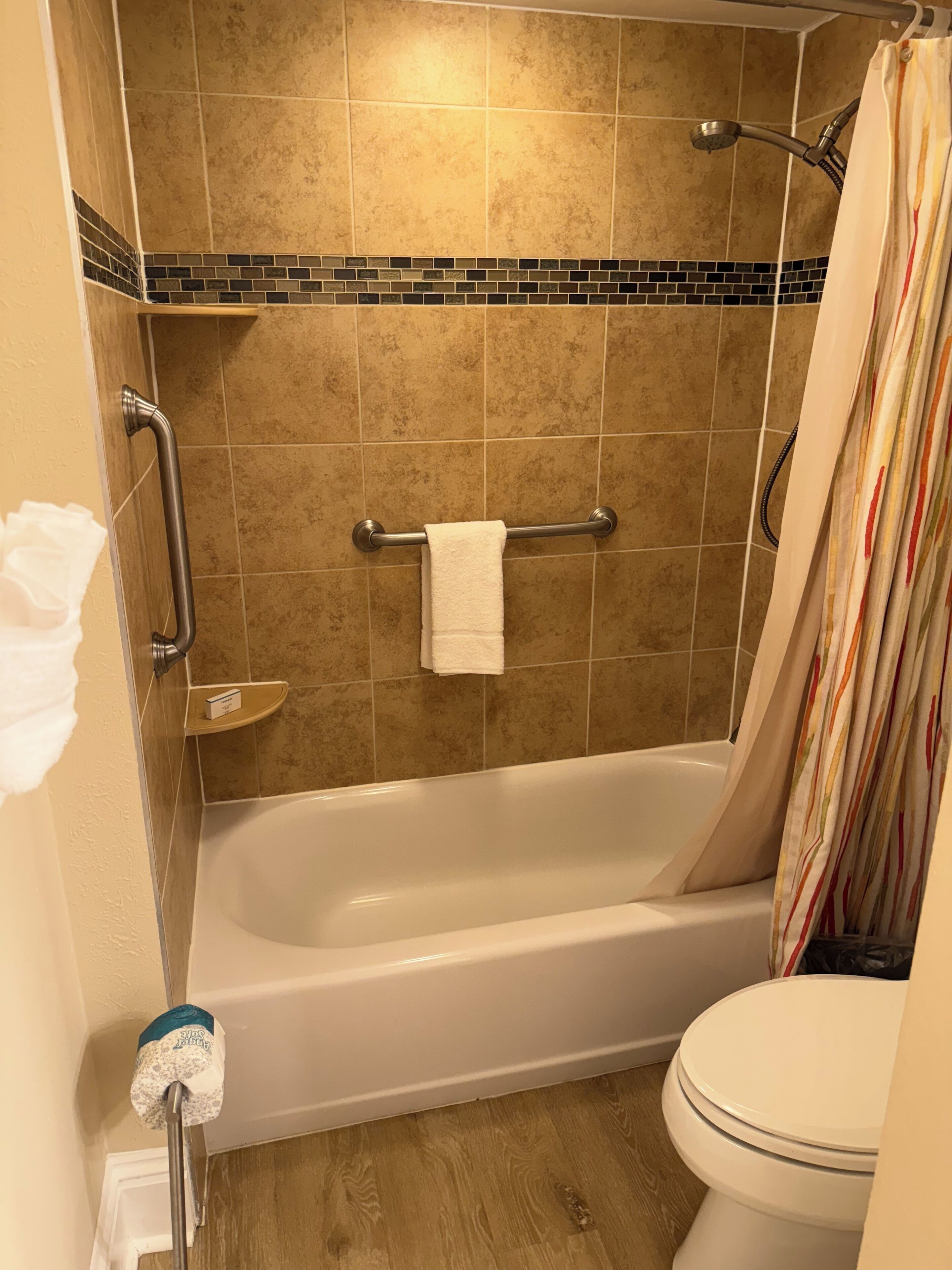 A bathroom with a bathtub, a toilet, and a shower curtain.