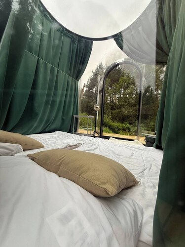Room-skybloom Bubble Bergen