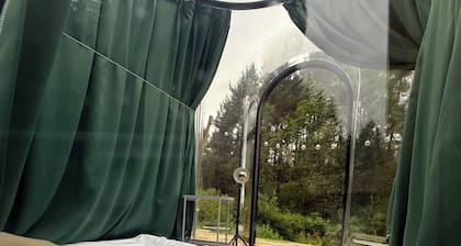 Room-skybloom Bubble Bergen