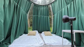 Room, 1 Bedroom, Accessible, Smoking | 1 bedroom