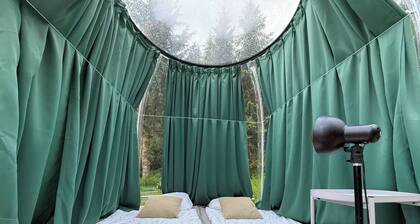 Room-skybloom Bubble Bergen