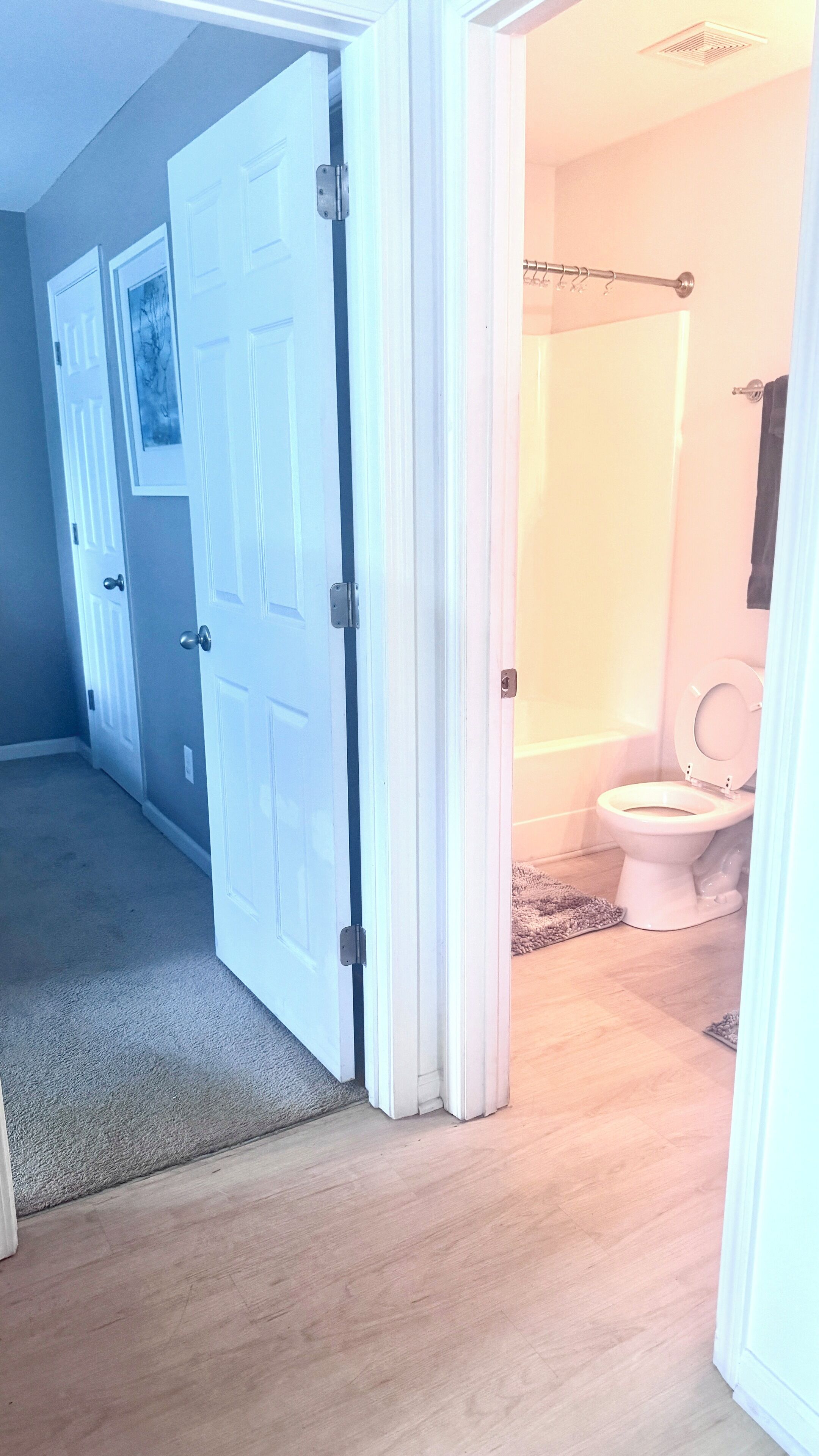 A hallway leading to a bathroom with a toilet, a shower, and a door with a picture on it.