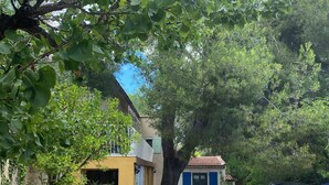 A gravel driveway leading to a building with a yellow facade and a blue door.