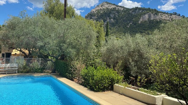A swimming pool with a clear blue water, surrounded by greenery and a mountain in the background.