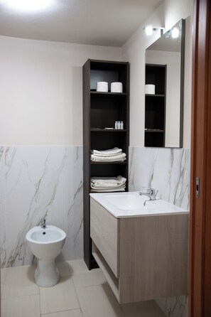 Hair dryer, towels, soap, toilet paper