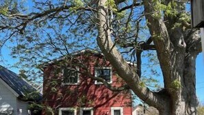 Ein rotes Haus mit einem großen Baum davor.