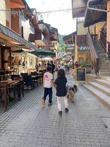 Large 3* apartment / 6personnes available January and early February 