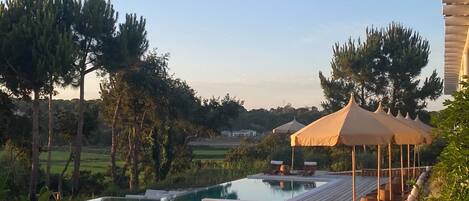 A pool area with lounge chairs and a canopy, surrounded by greenery and a clear sky.