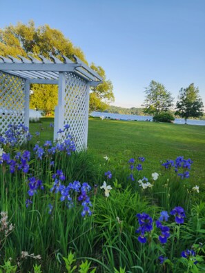 Ein Garten mit einer weißen Pergola, üppigem Grünrasen und einer Vielzahl von Blumen.
