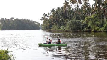 Kayak