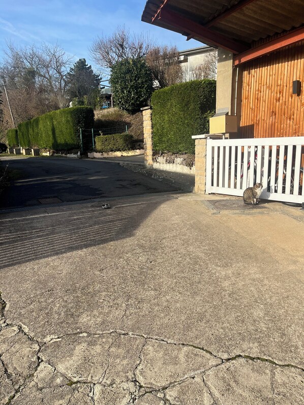 Áreas de la propiedad