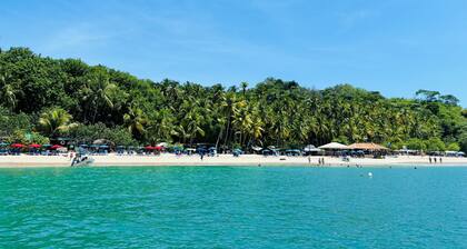 Jungle container 1; Bioluminescence & Isla Tortuga, Salt Pool, Beach