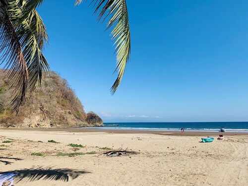 Jungle container 1; Bioluminescence & Isla Tortuga, Salt Pool, Beach