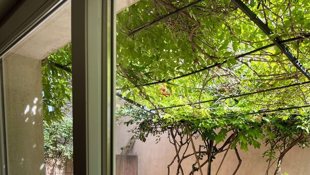 Eine Terrasse mit Holztisch und -stühlen, einem weißen Sofa und einem Baum, der Schatten spendet.