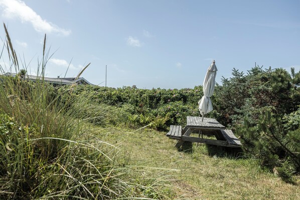 Une table de pique-nique en bois, surmontée d’un parasol blanc, se trouve dans un espace verdoyant, au milieu d’un feuillage dense.