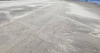 Cozy "house on the dike" with a large garden invites you to relax