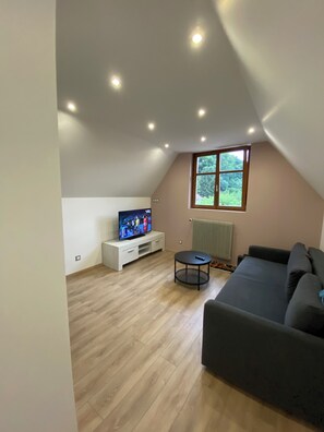 TV