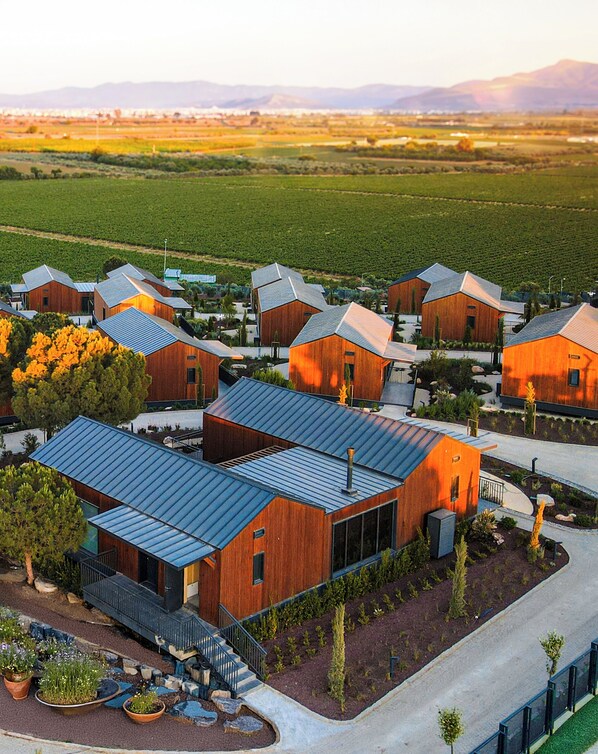 Grand Cru Room | Minibar, free WiFi