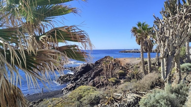 A coastal landscape with rocky terrain, palm trees, and a clear blue sky. - Surf Harbour  (Granadilla de Abona)