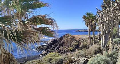 Surf Harbour