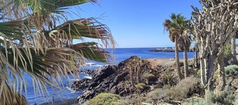Surf Harbour