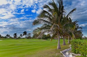 Golfe