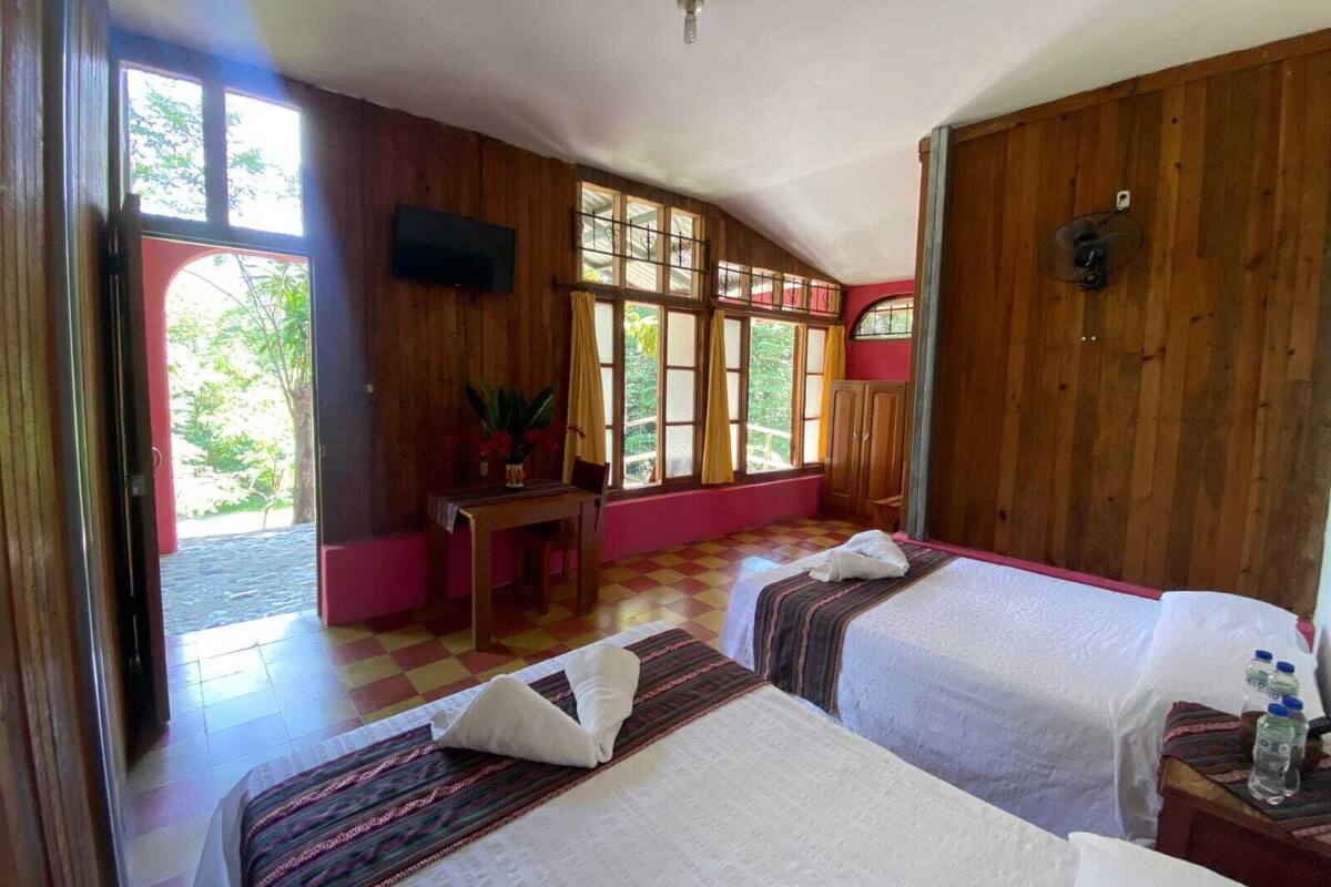 Une chambre avec deux lits, une table avec une plante, une télévision et une fenêtre avec des rideaux.