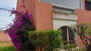 A house with a large window, a small balcony, and a garden with purple flowers. - 42 sq.m. air-conditioned apartment in Marina di Bravone, 200 m. from the beach (Linguizzetta)