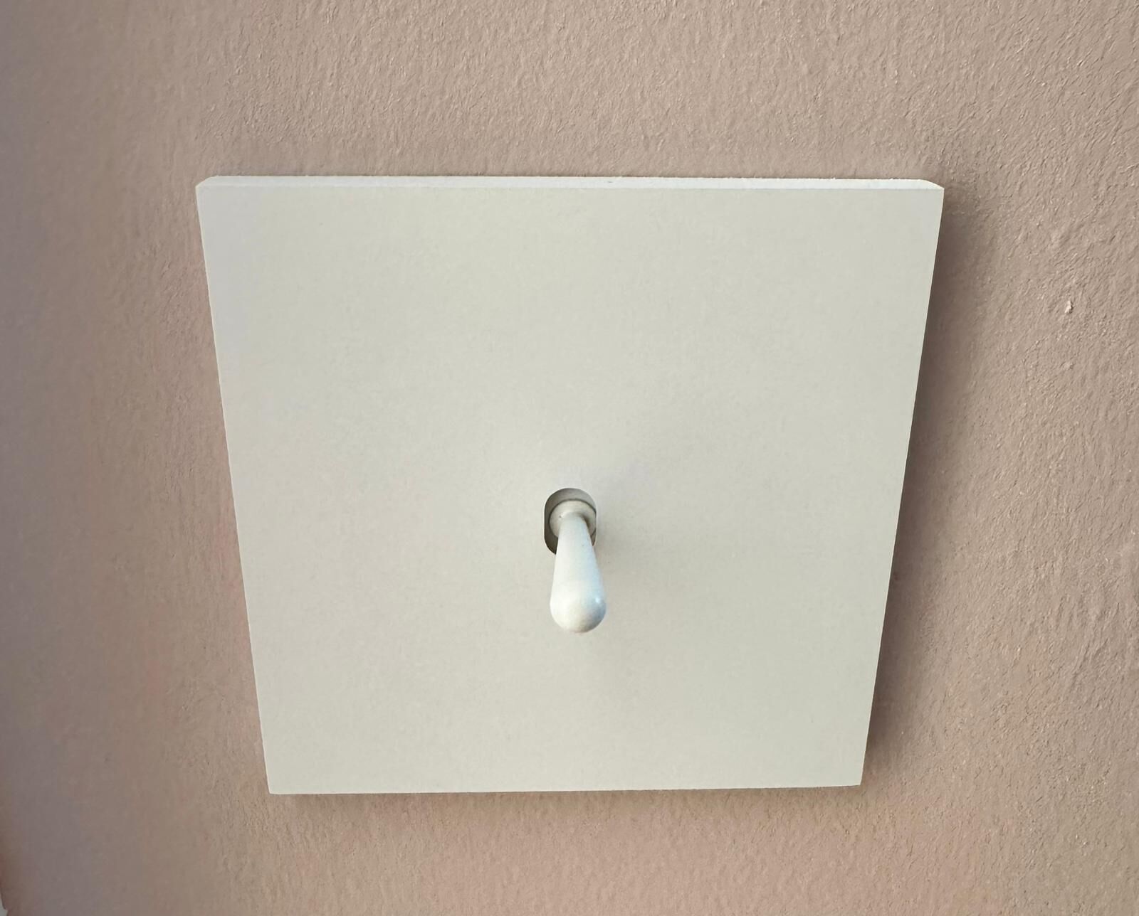 Un interruptor blanco fijado a la pared.