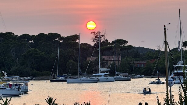 Un port de plaisance où sont amarrés des bateaux, entouré d’arbres et de bâtiments.