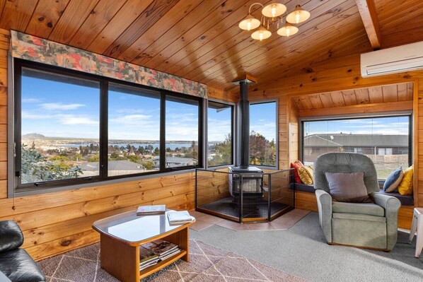Smart TV, fireplace, books